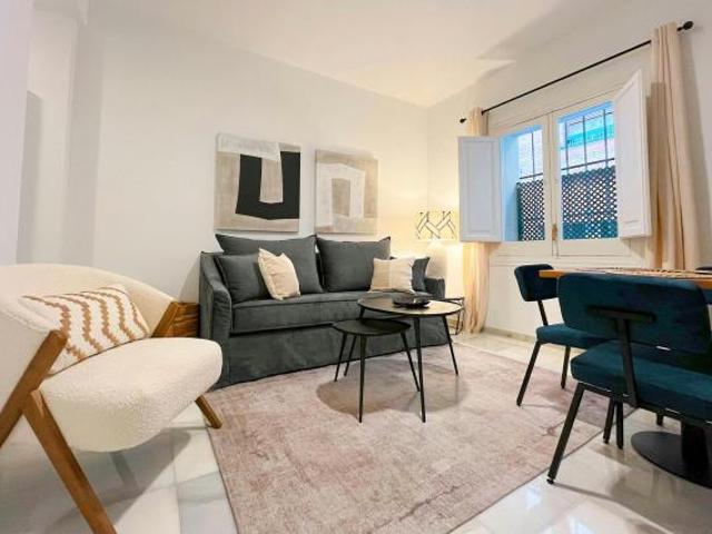 1 Dormitorio Apartamentos Sevilla Sevilla LS84222478