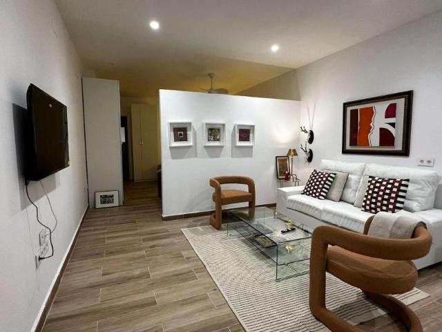 1 Dormitorio Apartamentos Seville Seville 94149775
