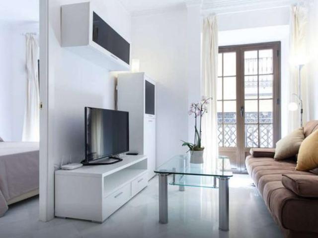 1 Dormitorio Apartamentos Seville Seville LS100050554