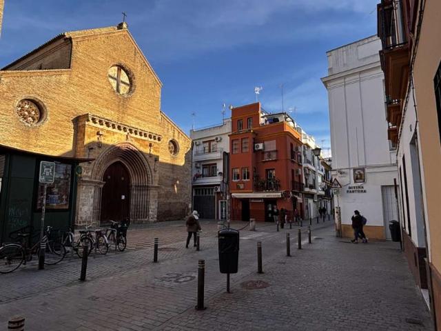 1 Dormitorio Apartamentos Seville Seville LS100217117