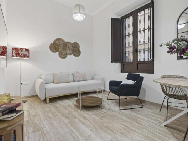 1 Dormitorio Apartamentos Seville Seville LS100637792