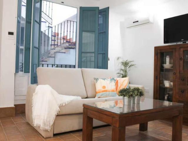 1 Dormitorio Apartamentos Seville Seville LS98056870