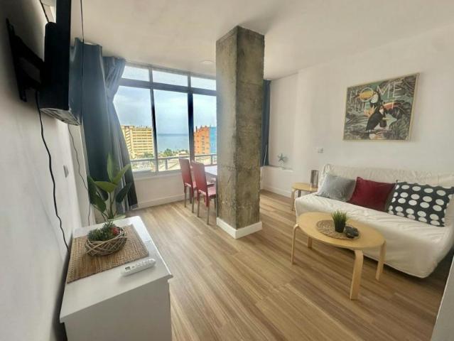 1 Dormitorio Apartamentos Torremolinos Torremolinos 95113029