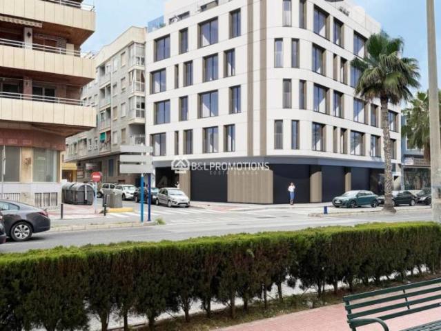 1 Dormitorio Apartamentos Torrevieja Costa Blanca South 93500003