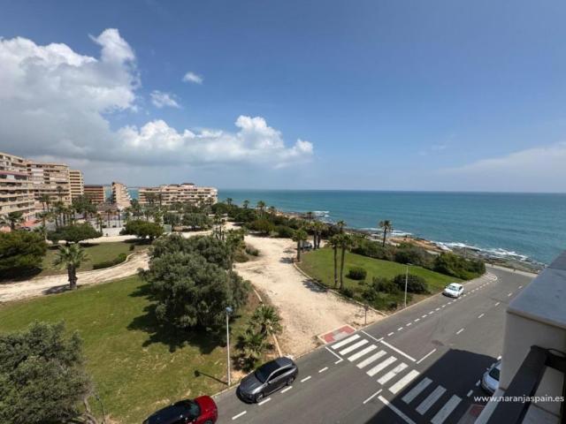 1 Dormitorio Apartamentos Torrevieja Alicante 101946701