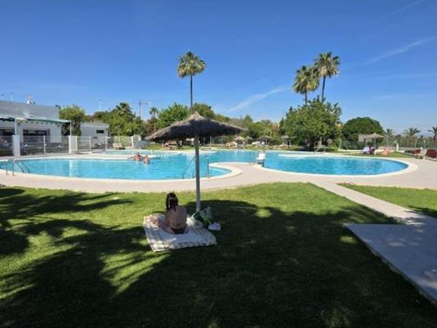 1 Dormitorio Apartamentos Torrevieja Alicante 102771125