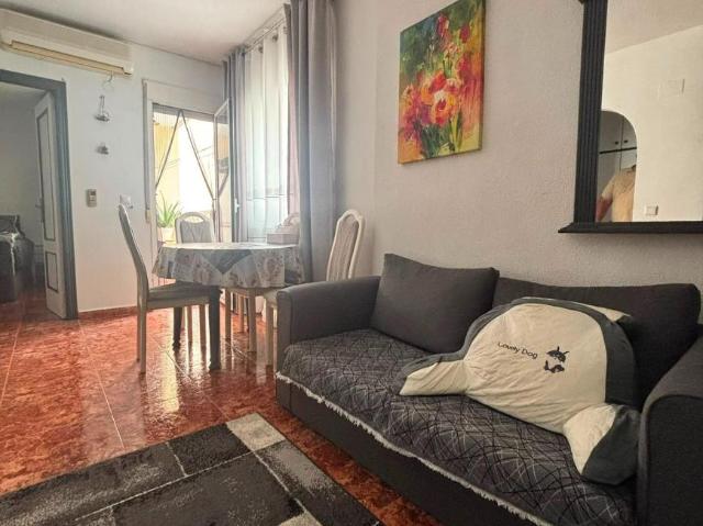 1 Dormitorio Apartamentos Torrevieja Alicante 103338735