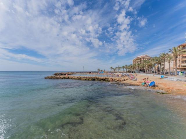 1 Dormitorio Apartamentos Torrevieja Alicante 94152932