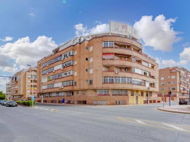 1 Dormitorio Apartamentos Torrevieja Alicante LS93496215