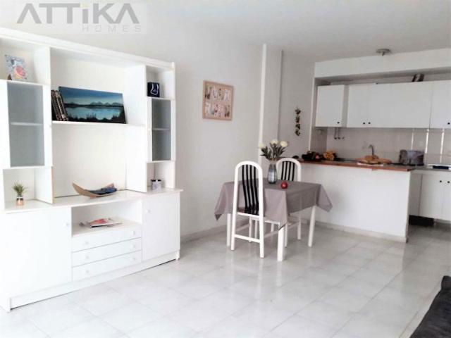 1 Dormitorio Apartamentos Torrevieja Torrevieja LS101944772