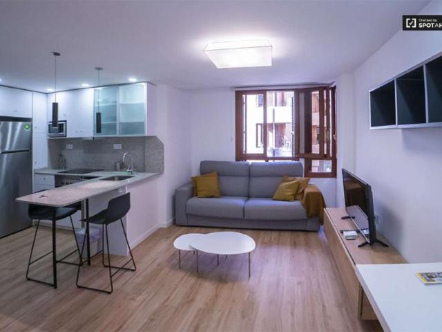 1 Dormitorio Apartamentos Valencia Valencia LS101990791