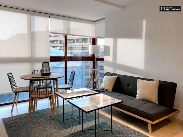 1 Dormitorio Apartamentos Valencia Valencia LS98922935