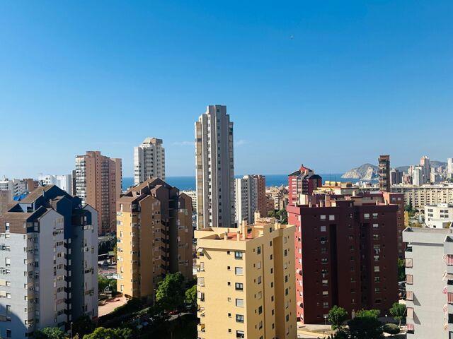 1 Dormitorio Apartamentos Valencia Valencia LS98202570