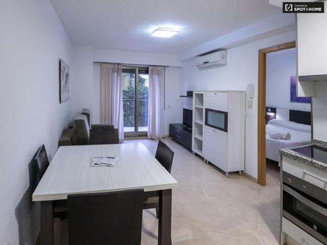 1 Dormitorio Apartamentos Valencia Valencia LS99510687