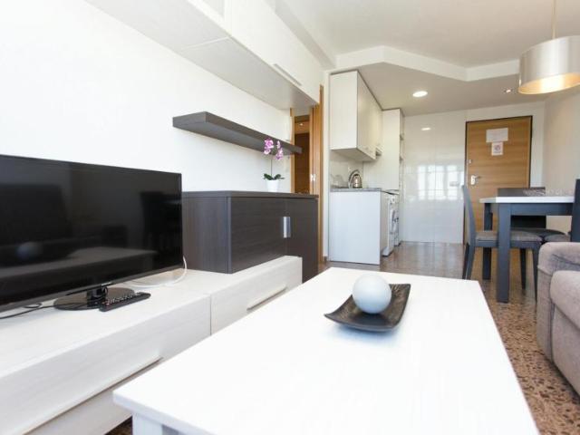 1 Dormitorio Apartamentos Valencia Valencia 100216314