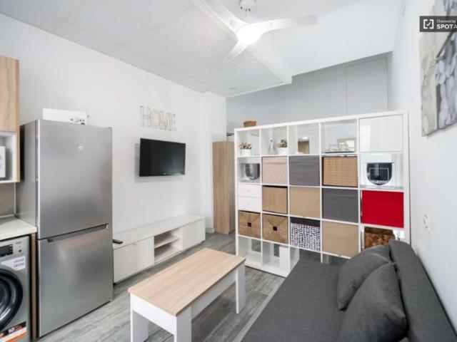 1 Dormitorio Apartamentos Valencia Valencia 101731446