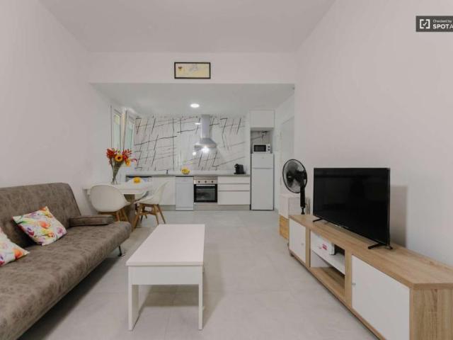 1 Dormitorio Apartamentos Valencia Valencia 101807098