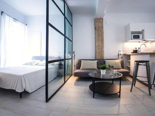 1 Dormitorio Apartamentos Valencia Valencia 101820100