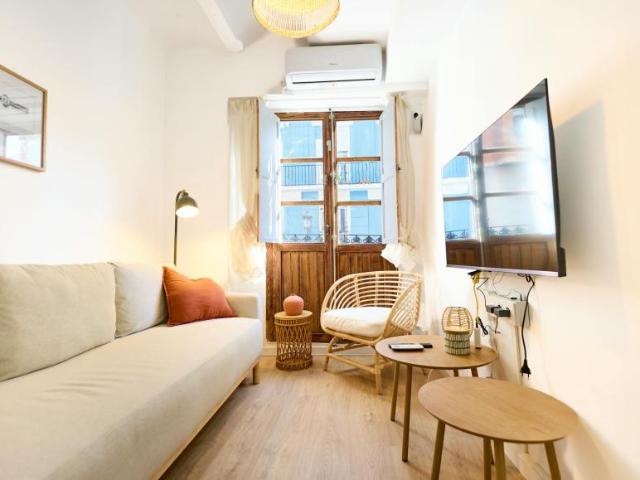 1 Dormitorio Apartamentos Valencia Valencia 101916088
