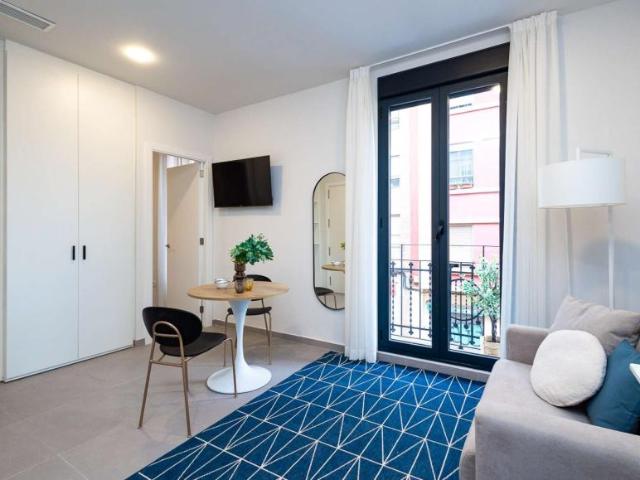 1 Dormitorio Apartamentos Valencia Valencia 103154761