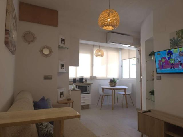 1 Dormitorio Apartamentos Valencia Valencia 103491493