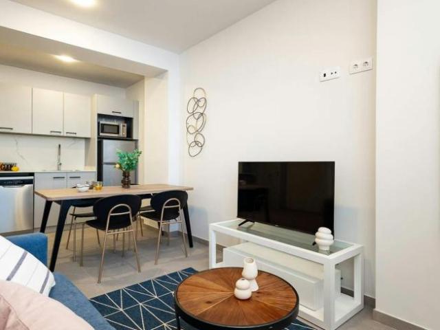 1 Dormitorio Apartamentos Valencia Valencia 103543489