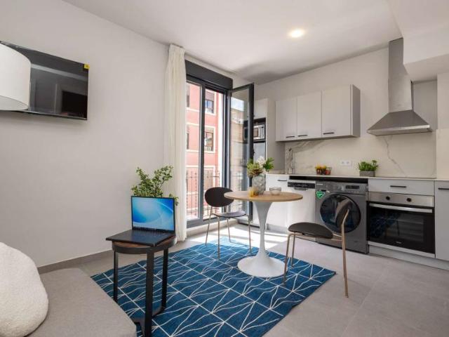 1 Dormitorio Apartamentos Valencia Valencia 104800059