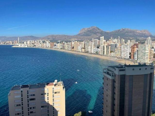 1 Dormitorio Apartamentos Valencia Valencia 98232707