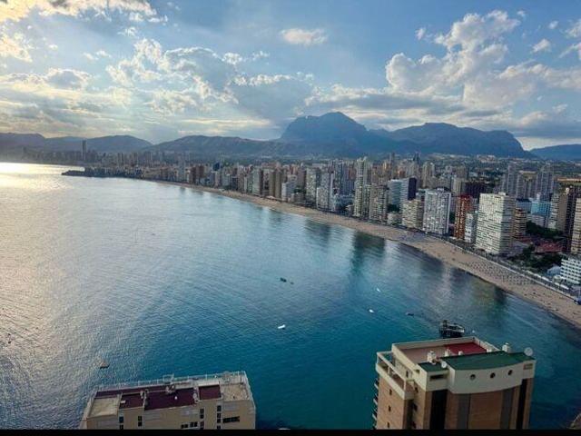 1 Dormitorio Apartamentos Valencia Valencia 98504420