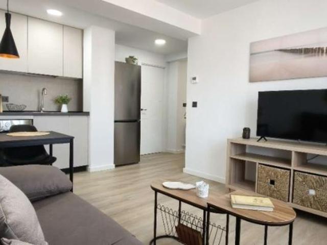 1 Dormitorio Apartamentos Zaragoza Zaragoza 102886703