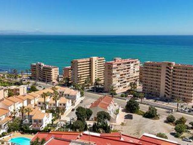 1 Dormitorio Multi Family Torrevieja Costa Blanca 102582143