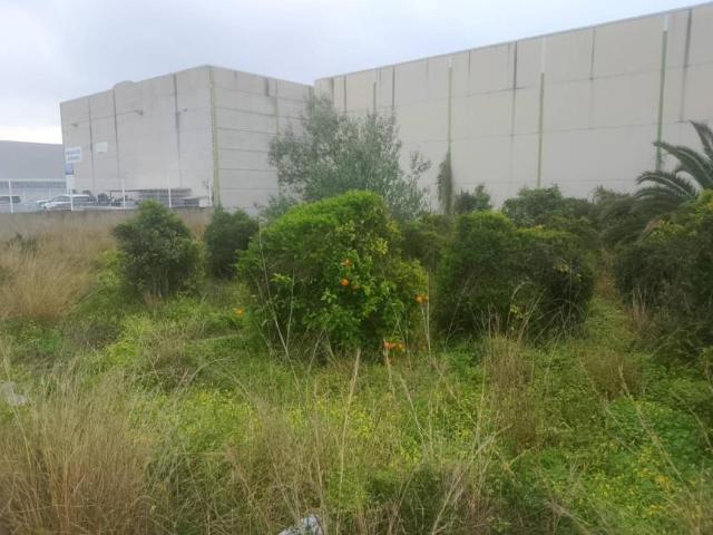 1 Dormitorio Negocio L'Alqueria De La Comtessa Valencia LS101662663