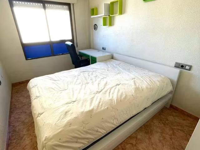 1 Dormitorio Shared Living/Roommate Murcia Murcia LS96199991