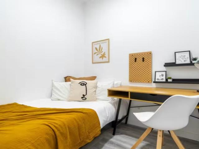 1 Dormitorio Shared Living/Roommate Madrid Madrid 100309169