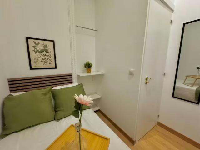 1 Dormitorio Shared Living/Roommate Madrid Madrid 100309374