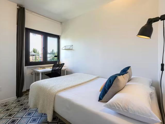1 Dormitorio Shared Living/Roommate Madrid Madrid 100385158