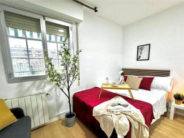 1 Dormitorio Shared Living/Roommate Madrid Madrid 100414926