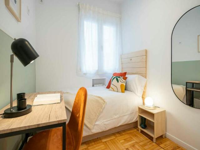 1 Dormitorio Shared Living/Roommate Madrid Madrid 100724816