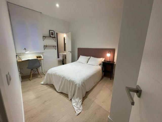 1 Dormitorio Shared Living/Roommate Madrid Madrid 100726856