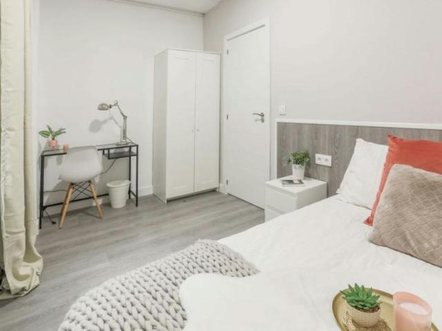 1 Dormitorio Shared Living/Roommate Madrid Madrid 100729438