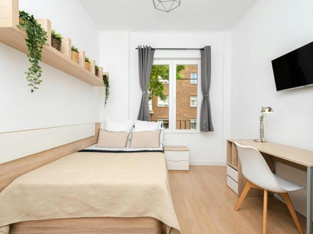 1 Dormitorio Shared Living/Roommate Madrid Madrid 100723077