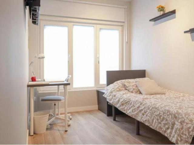 1 Dormitorio Shared Living/Roommate Madrid Madrid 100992042