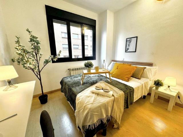 1 Dormitorio Shared Living/Roommate Madrid Madrid 101792455