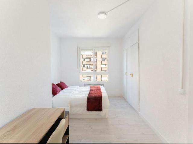 1 Dormitorio Shared Living/Roommate Madrid Madrid 101792498