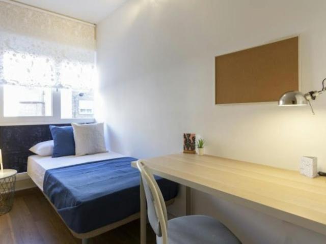 1 Dormitorio Shared Living/Roommate Madrid Madrid 101792853