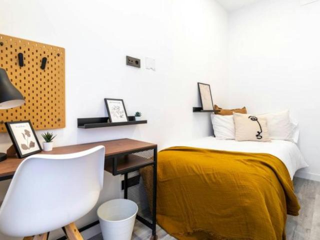 1 Dormitorio Shared Living/Roommate Madrid Madrid 101838457