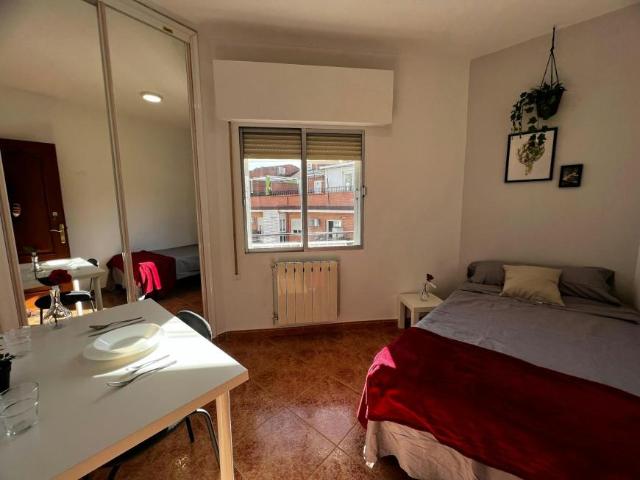1 Dormitorio Shared Living/Roommate Madrid Madrid 101838654
