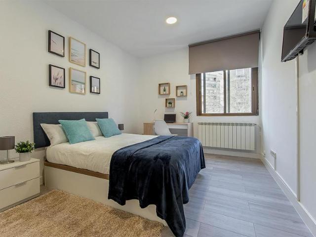 1 Dormitorio Shared Living/Roommate Madrid Madrid 101844879
