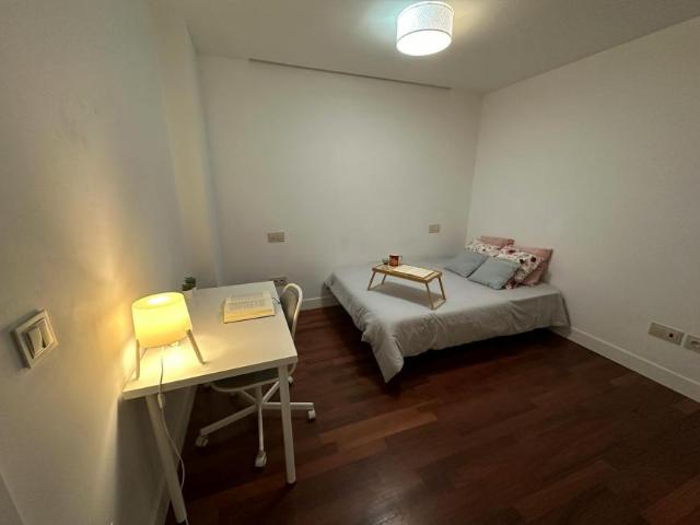 1 Dormitorio Shared Living/Roommate Madrid Madrid 101845268