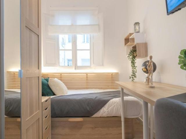 1 Dormitorio Shared Living/Roommate Madrid Madrid 101847856